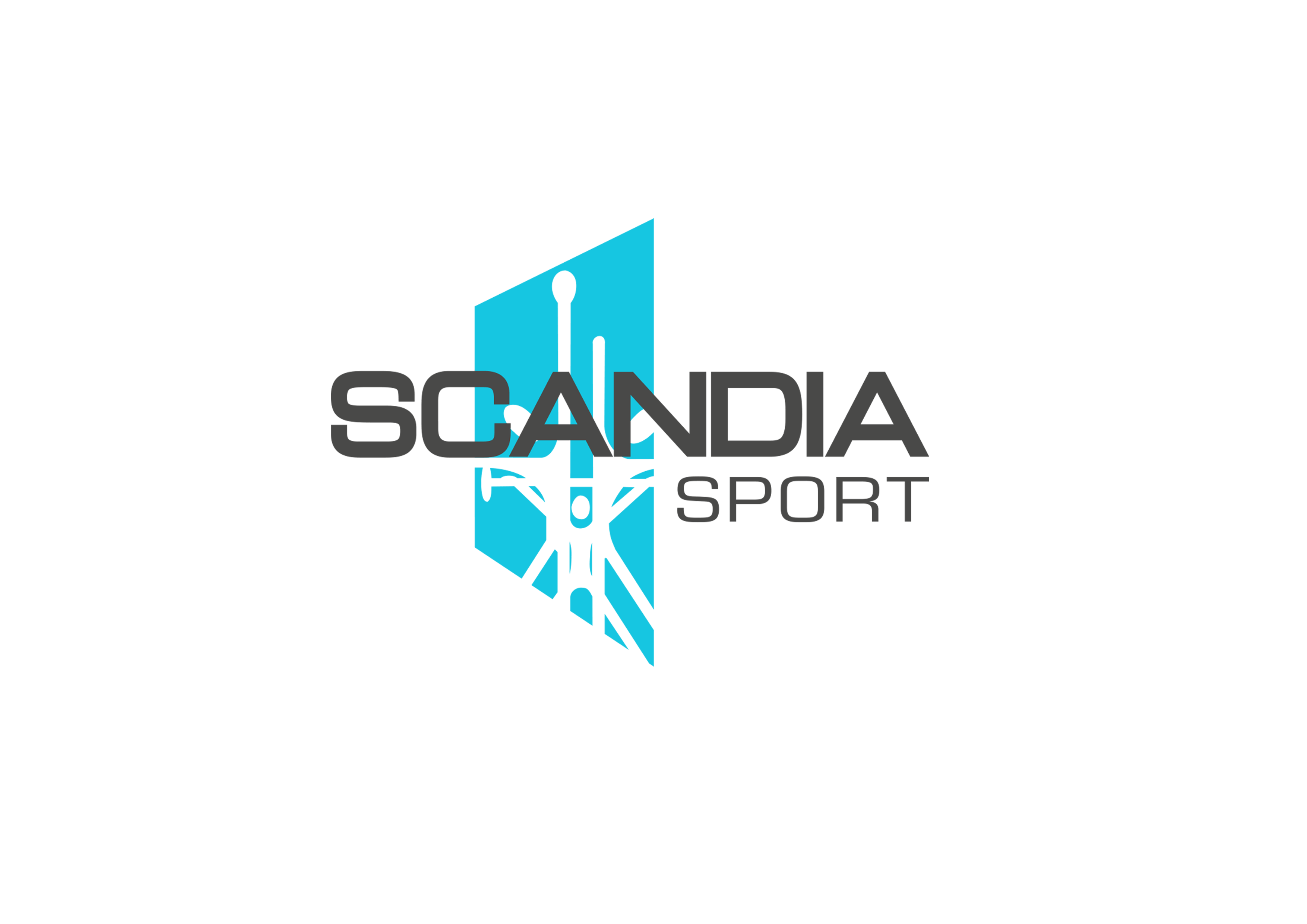 Scandia Sport Salle de sport Toulouse TRX