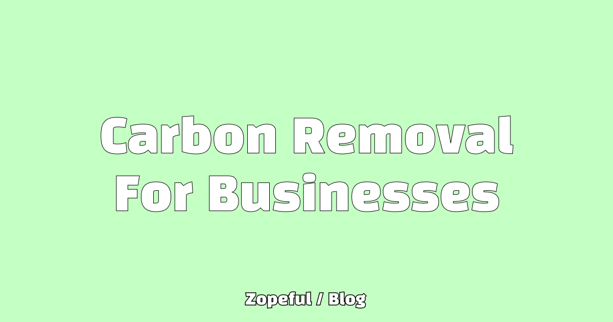 Carbon Removal For Business Blog Zopeful Climate