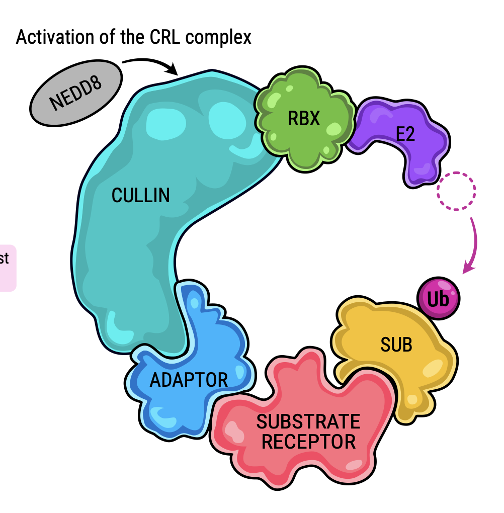 March 2026 | New article published
