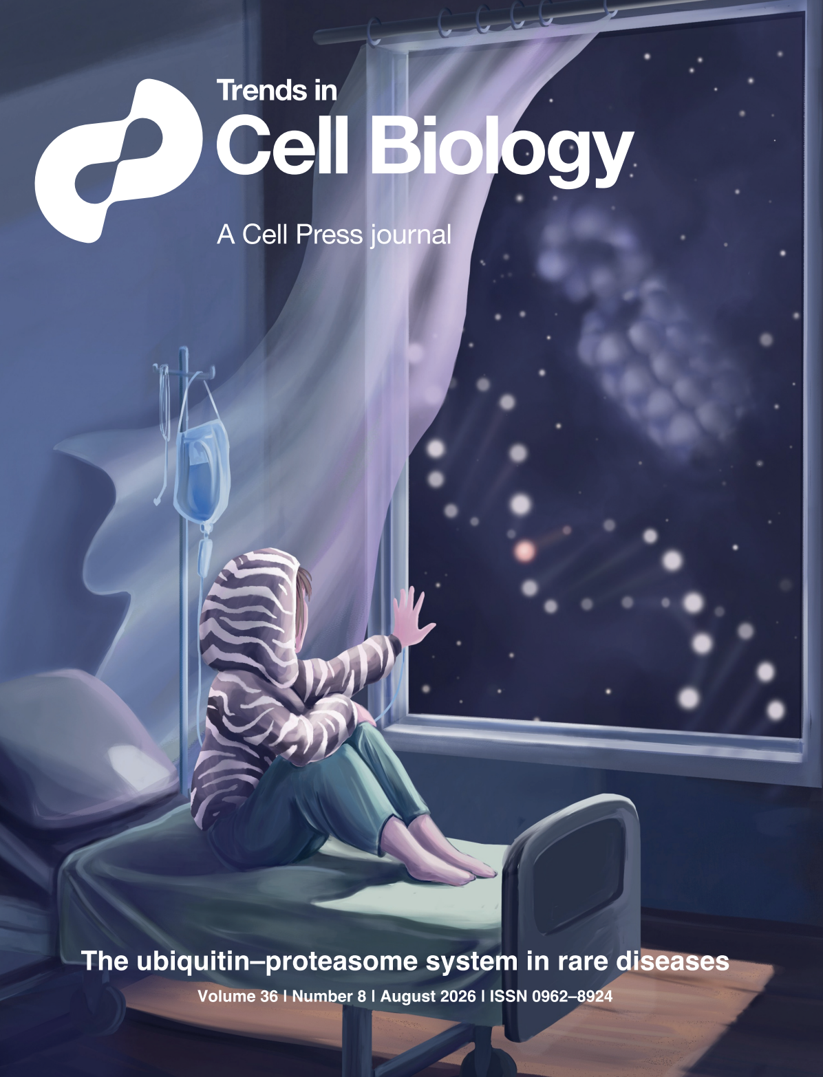 August 2026 | Our article on the Trends in Cell Biology cover