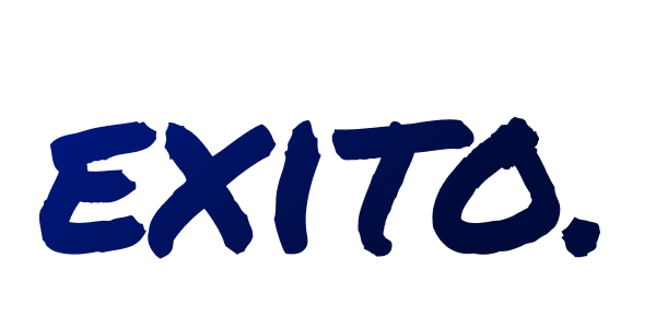 Exito - A digital & social media marketing agency focused on launching B2C & D2C products online