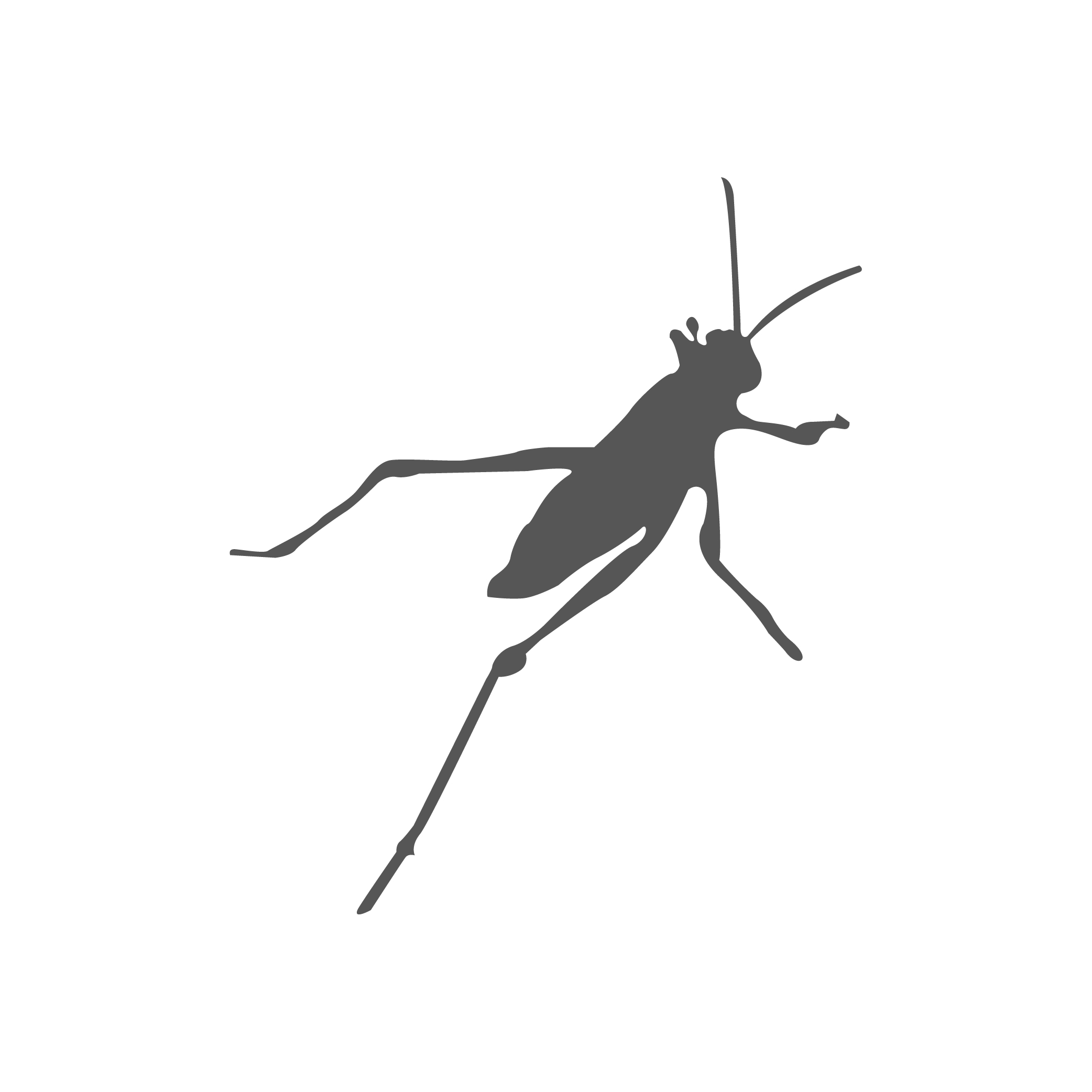 Grasshoper