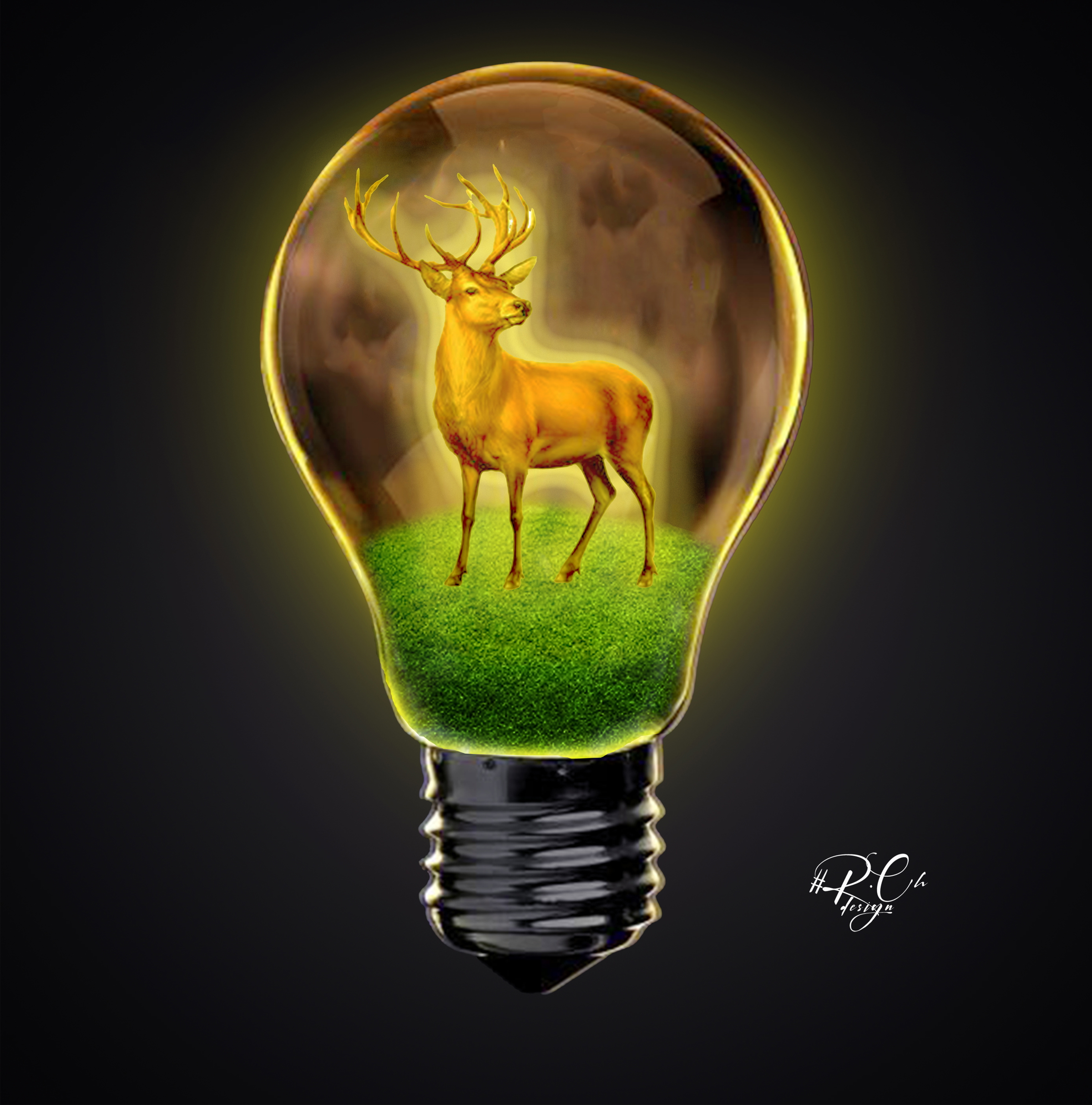 https://dribbble.com/shots/5414170-Cusco-Barista-Cold-Brew