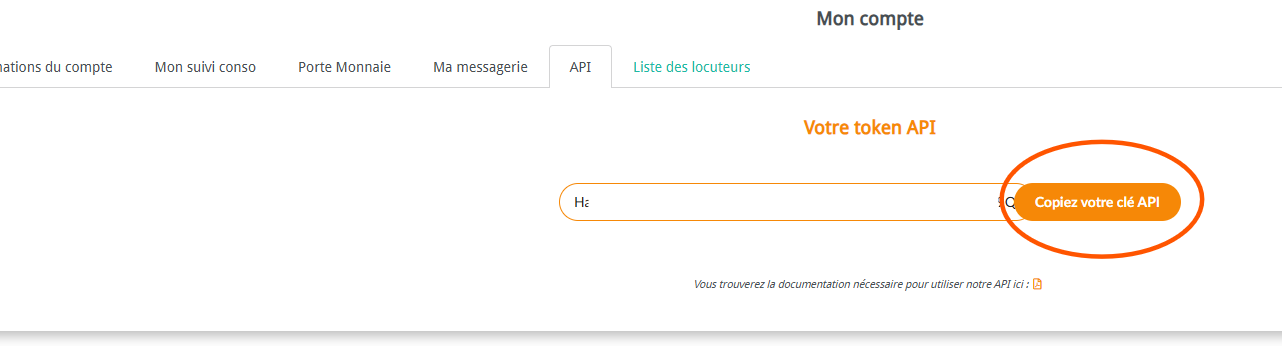 Champ token - clé API