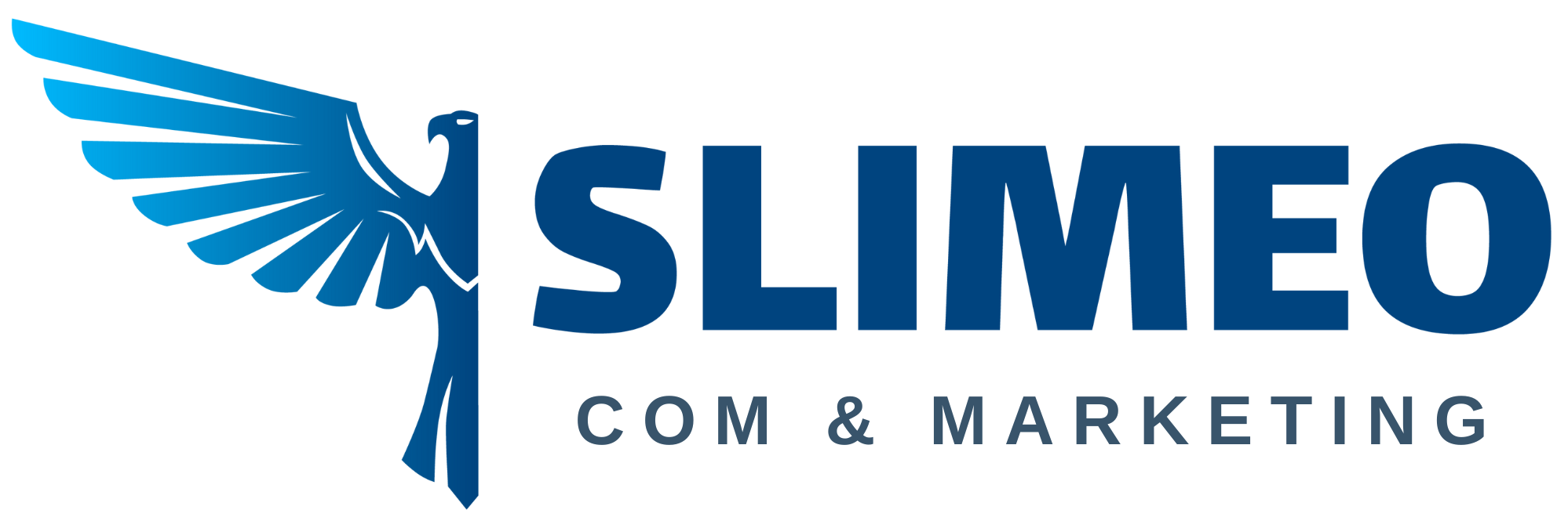 Logo Caption