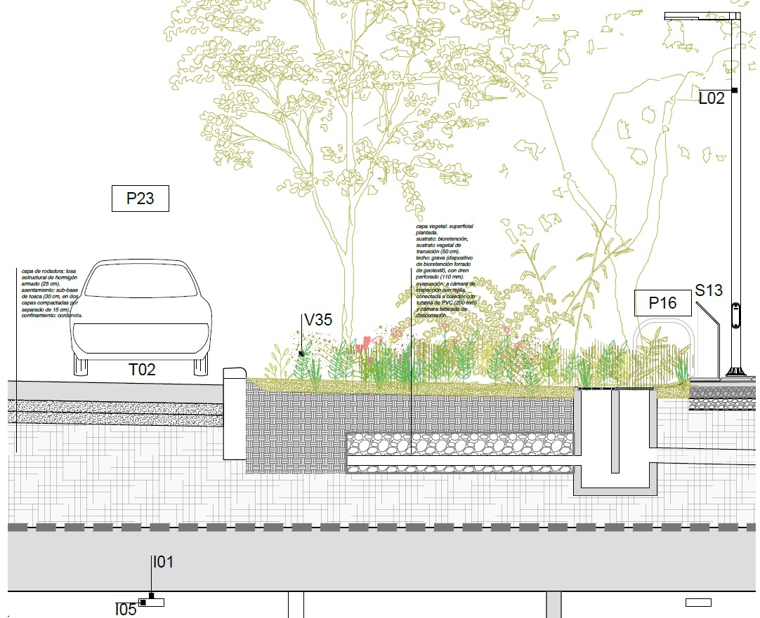 18 de Julio Av. - Typical Bioretention Section
