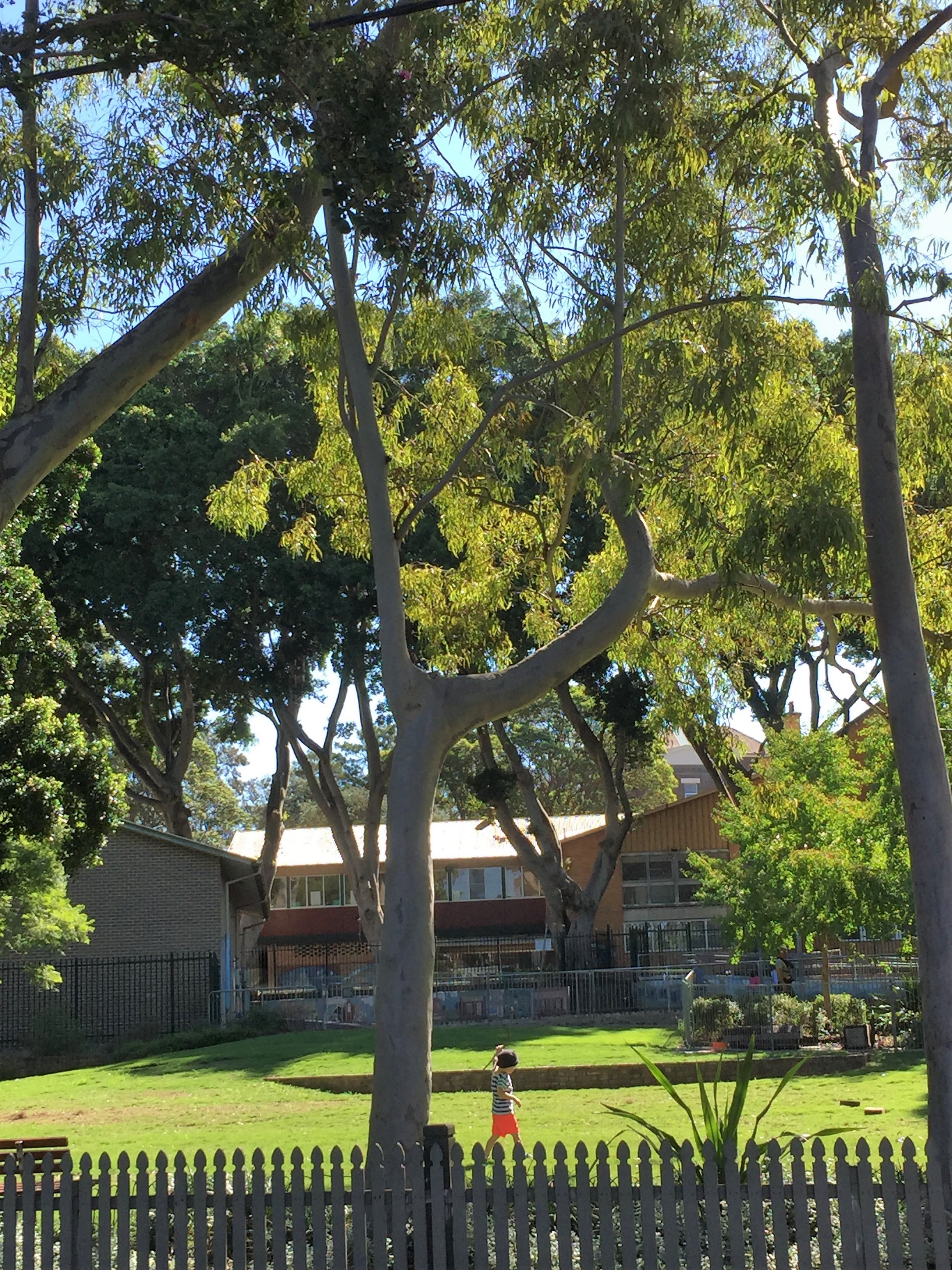 Directly Opposite Park