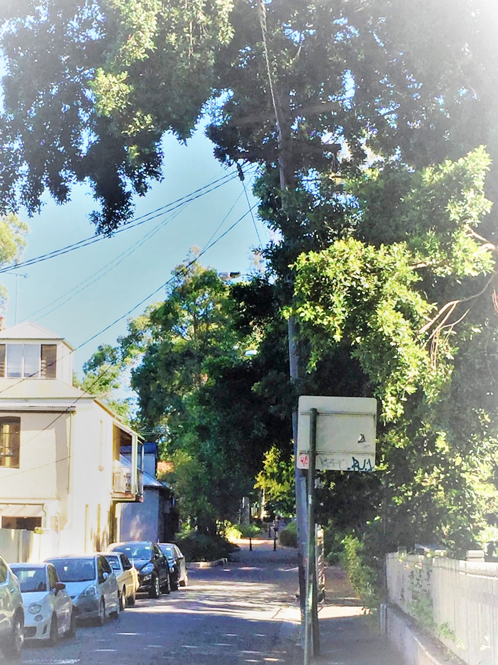 Located in a quiet, one way street.