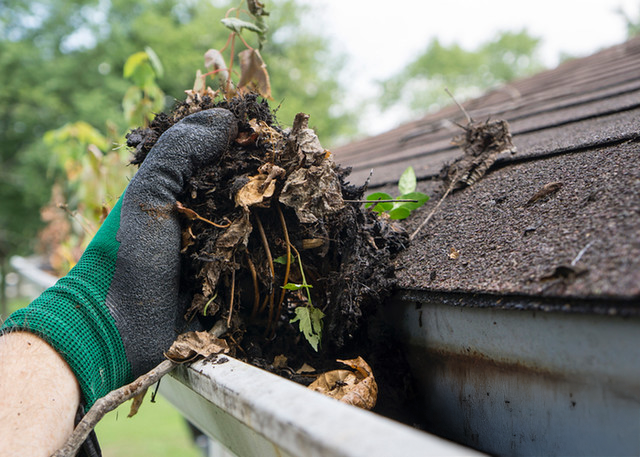 Bundl Home Gutter Cleaning