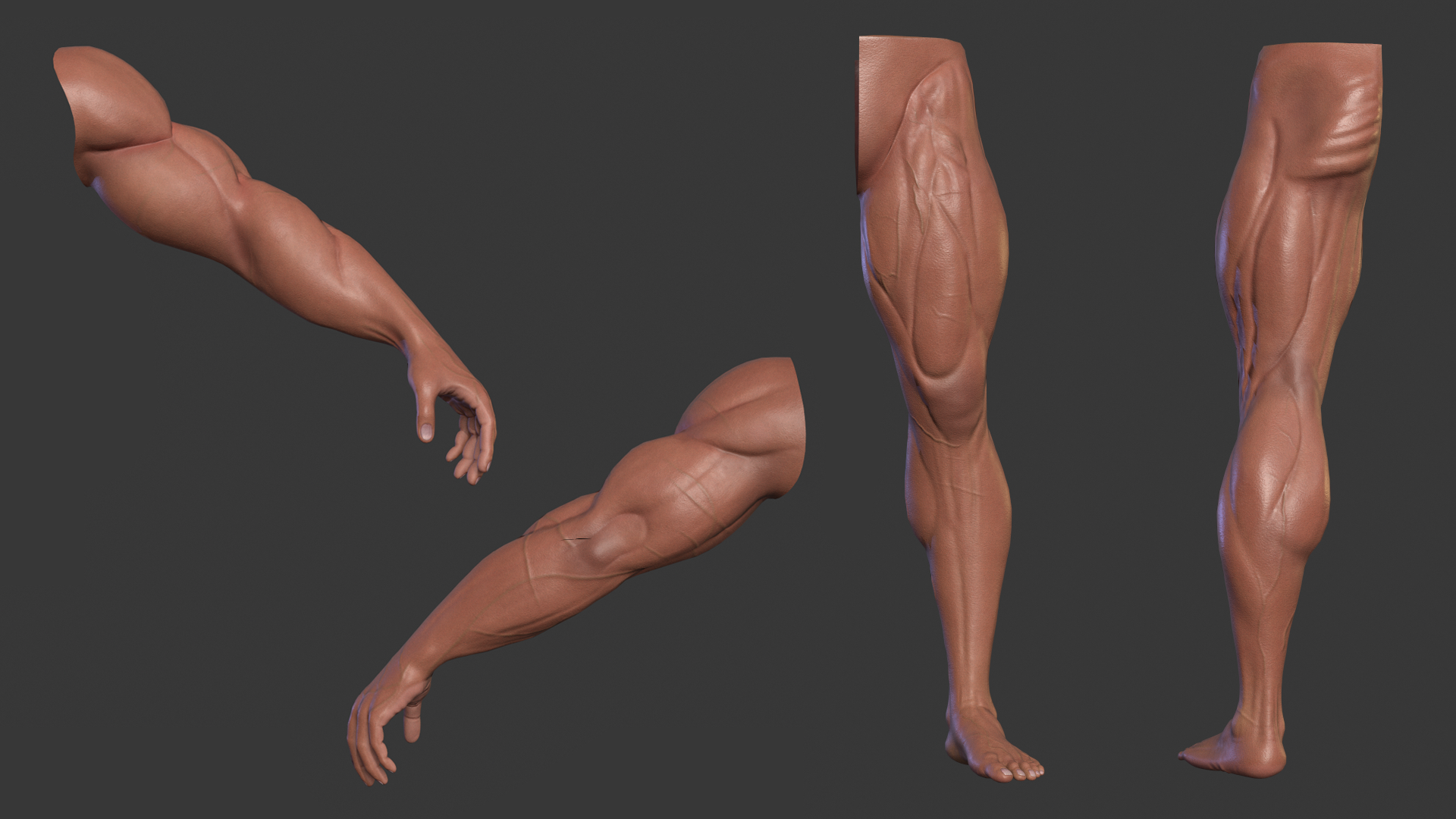 Arm and Leg