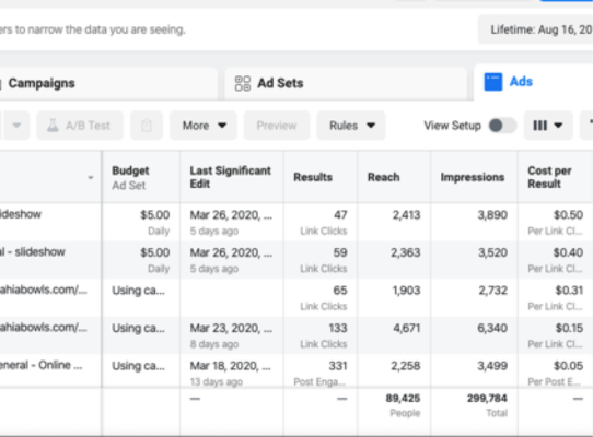 Facebook Ads Results