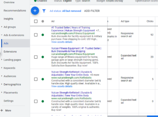 Google Ads Results