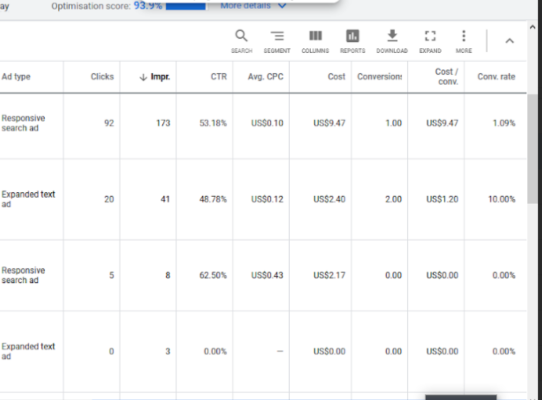 Google Ads Results