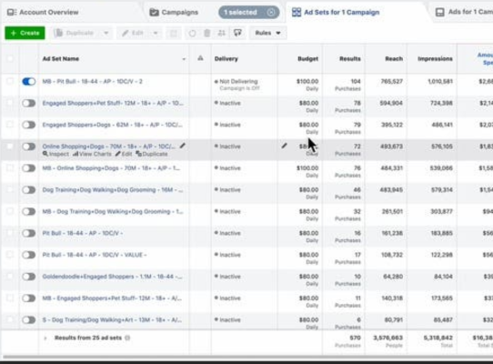 Google Ads Results