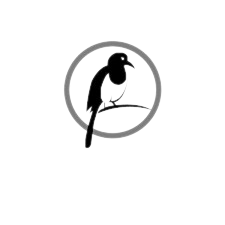 Logo Caption