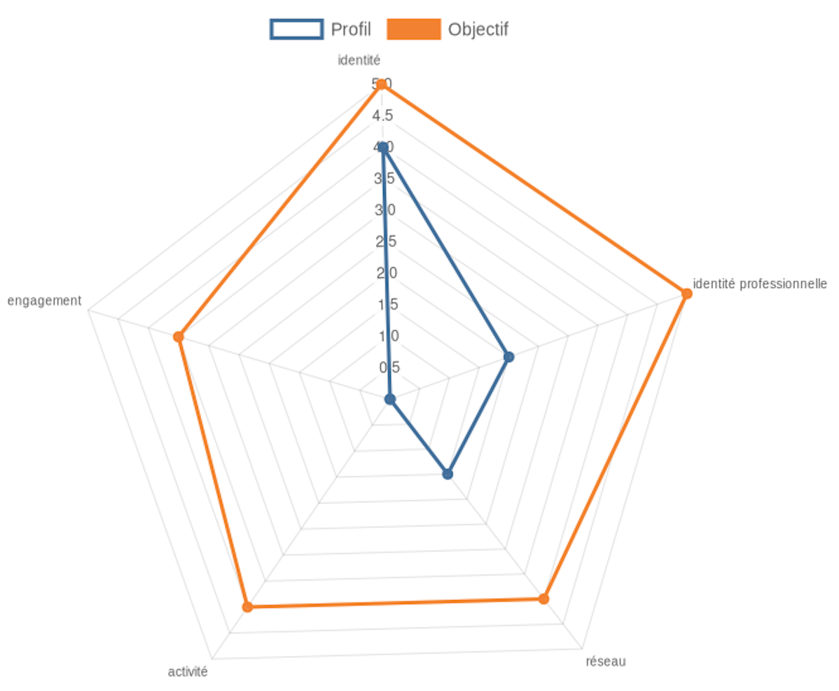 Analyse d'un profil LinkedIn sous forme d'un radar sur 5 axes