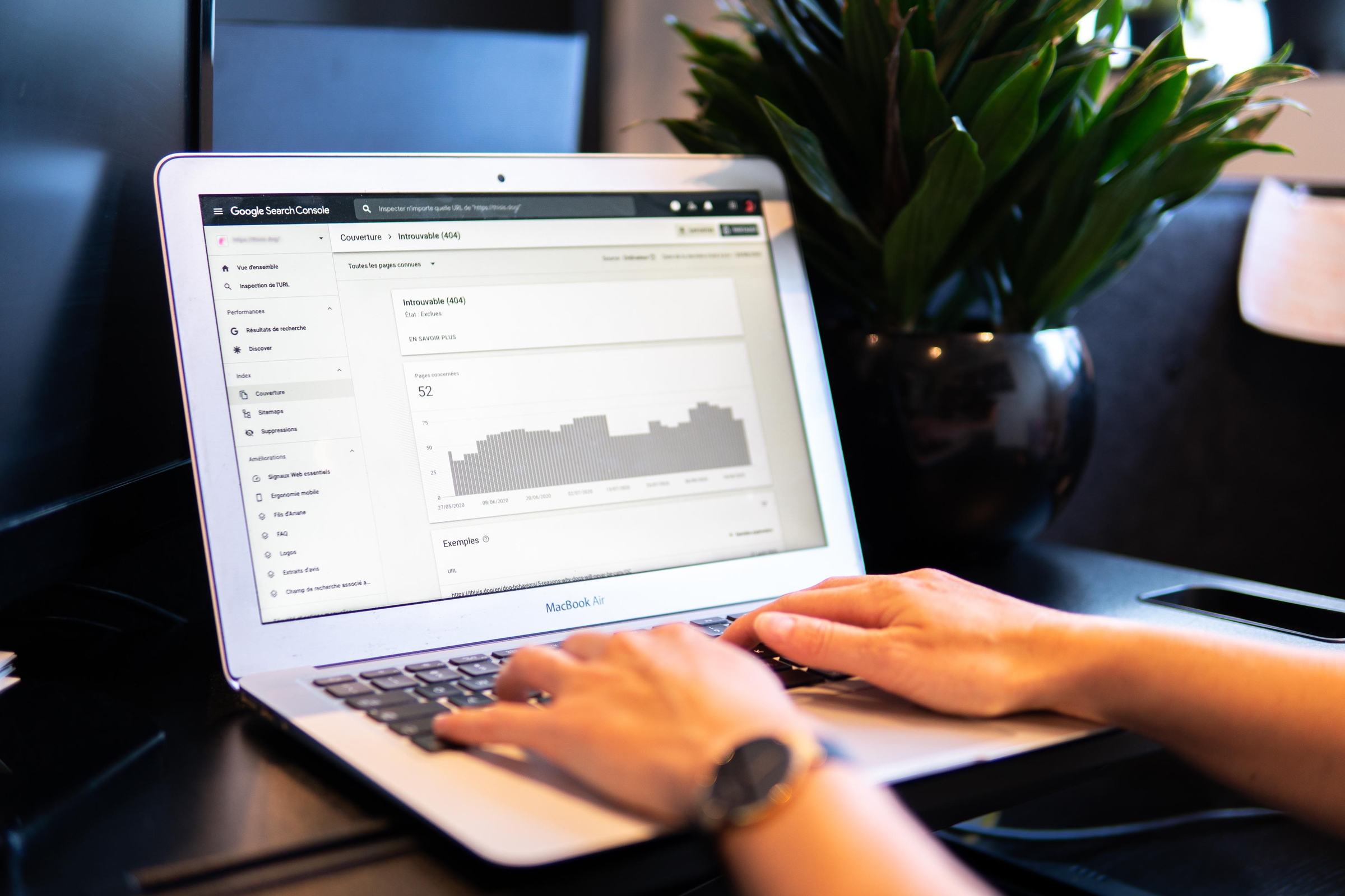 search engine marketing