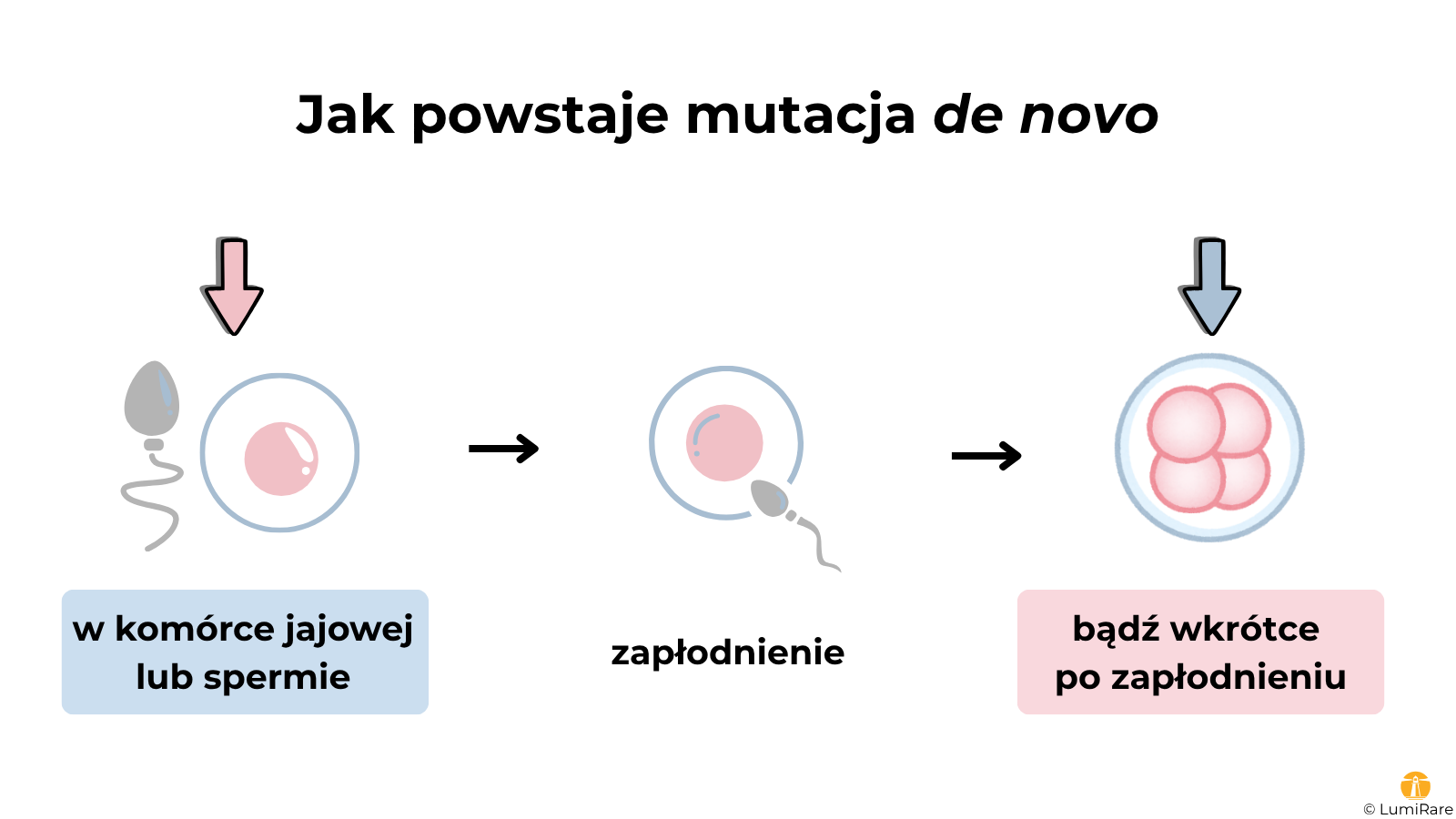 Schemat pokazujący jak powstają mutacje de novo