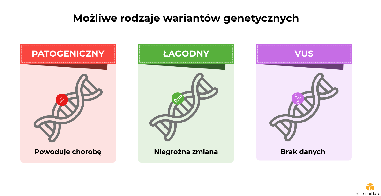 Scheme of possible genetic variant classifications