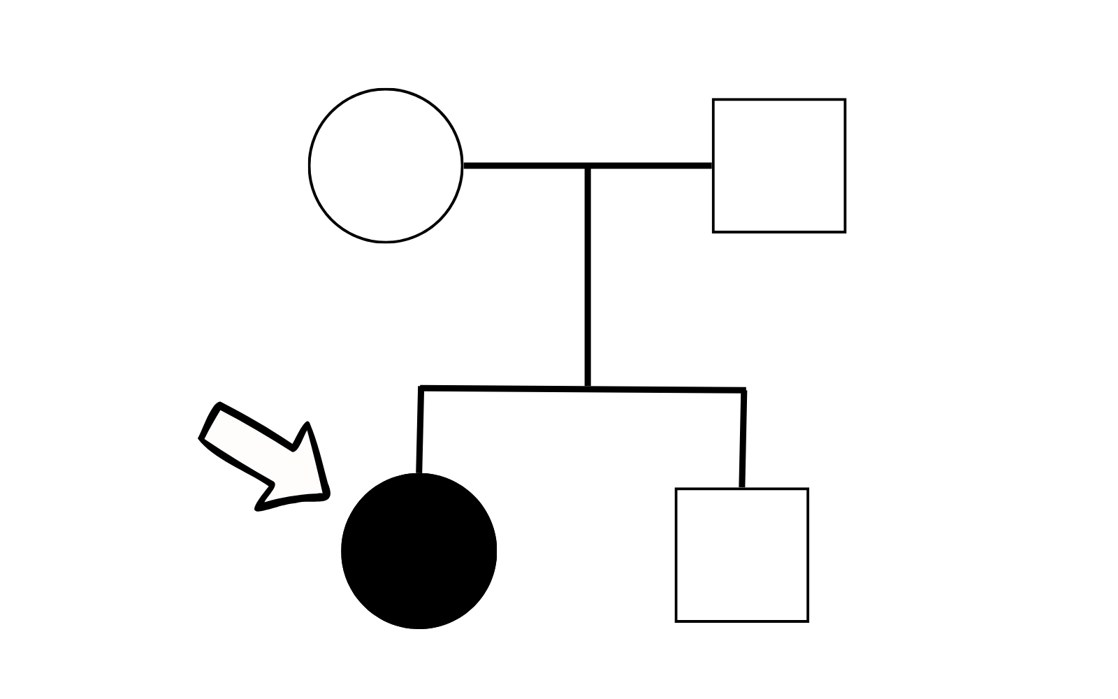 A picture showing a simple pedigree, with the probant indicated by an arrow