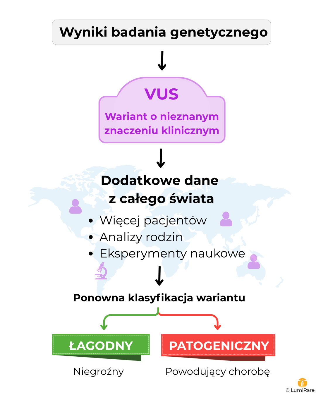 Schemat czynników wpływających na zmianę klasyfikacji VUS