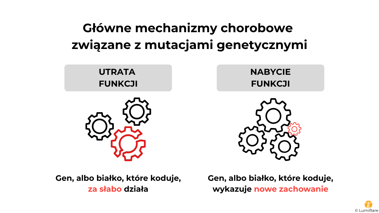 Schemat głównych mechanizmów chorobowych związanych z mutacjami genetycznymi