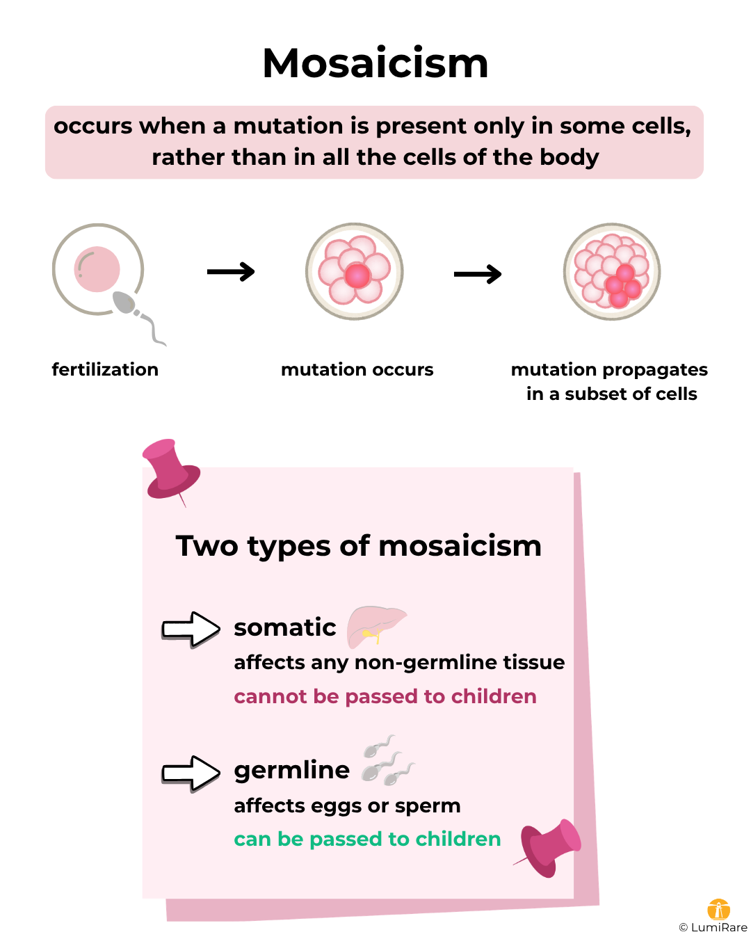 Scheme presenting the definition and types of mosaicism