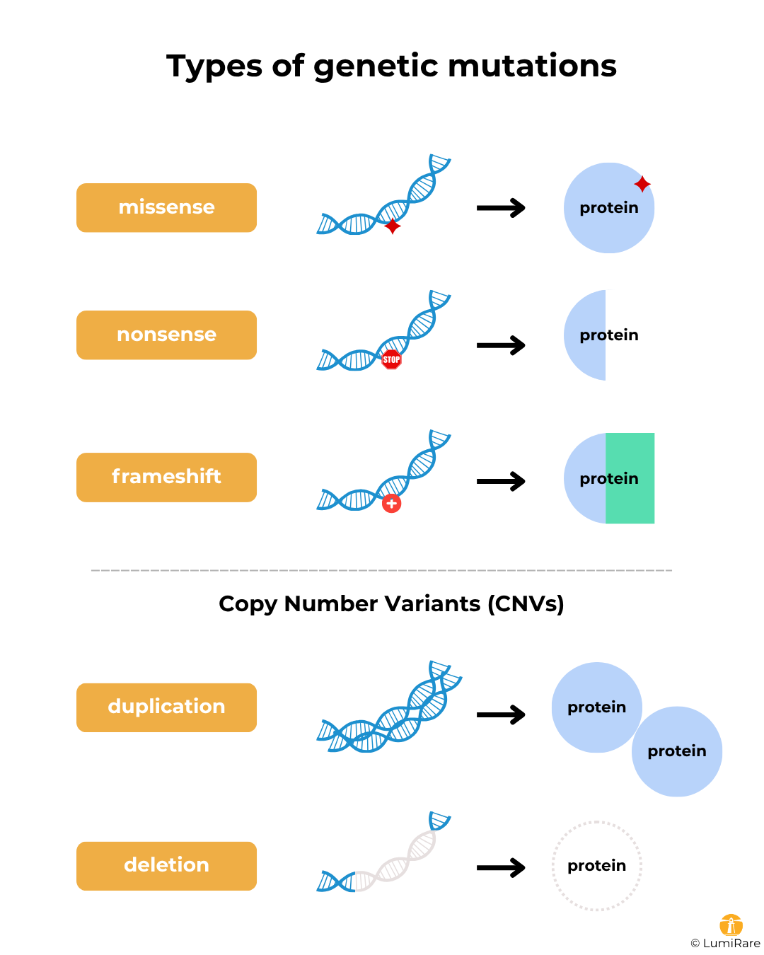 List of things that can be done after obtaining a VUS result