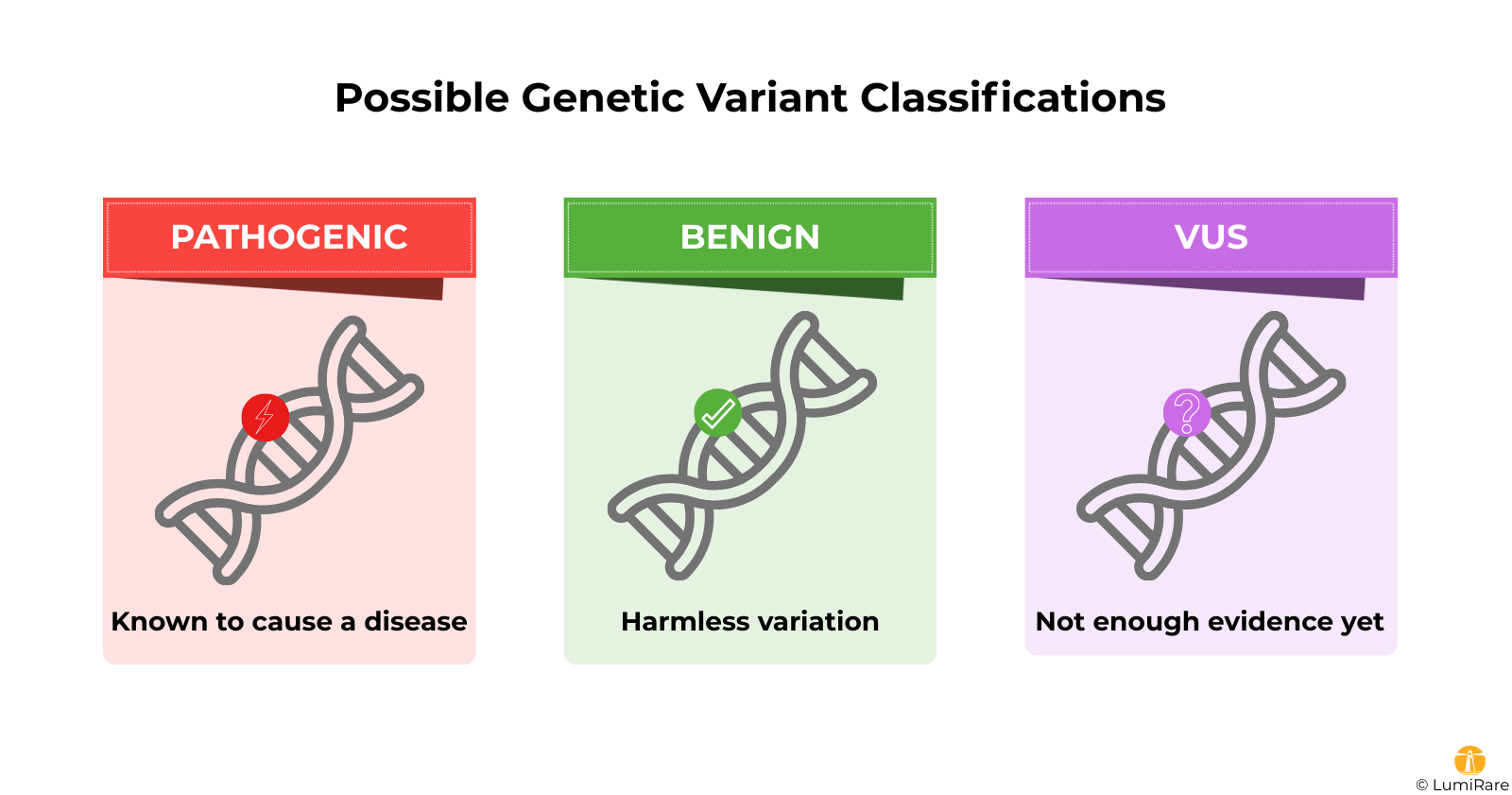 Scheme of possible genetic variant classifications