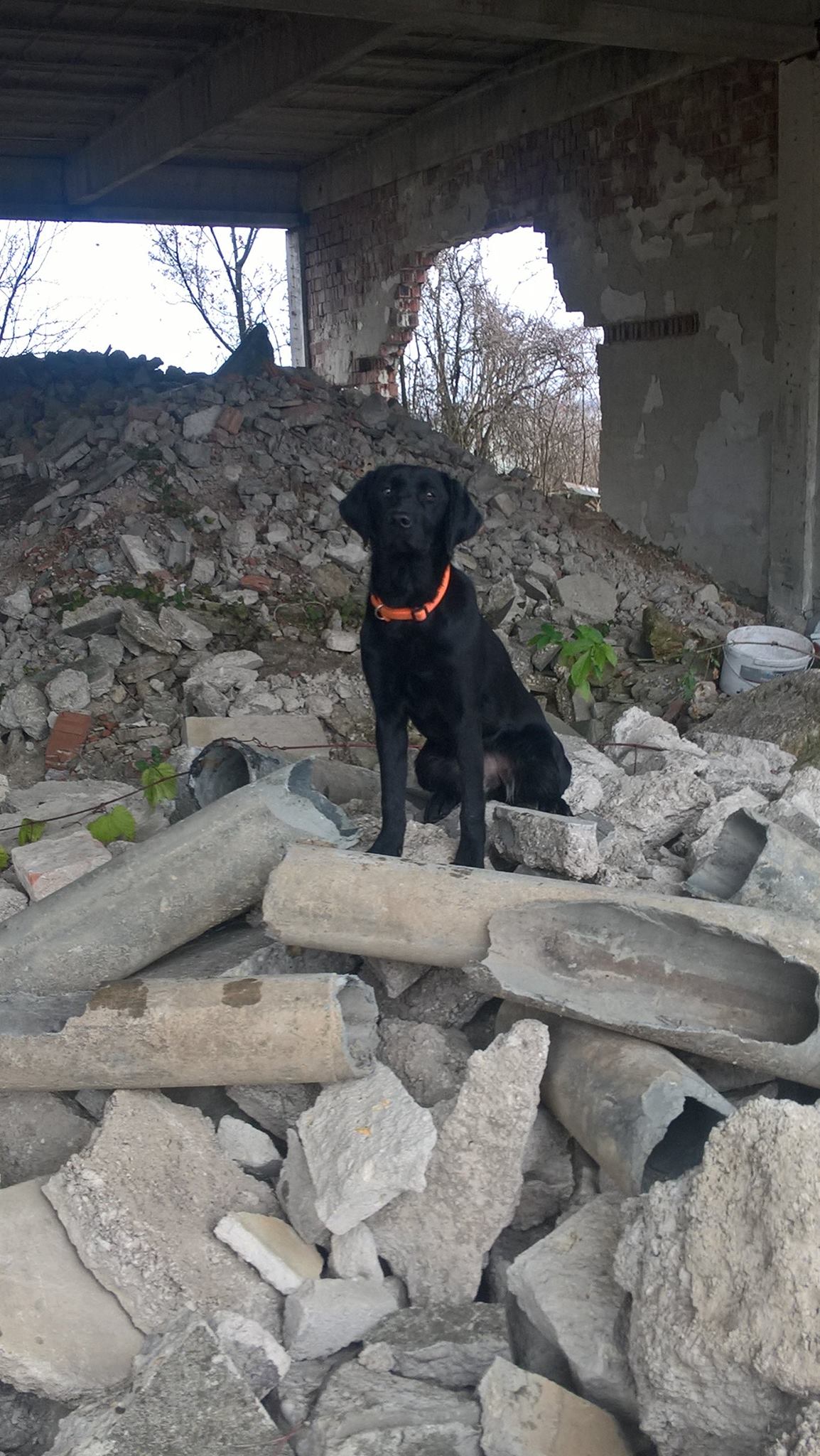 rescue team