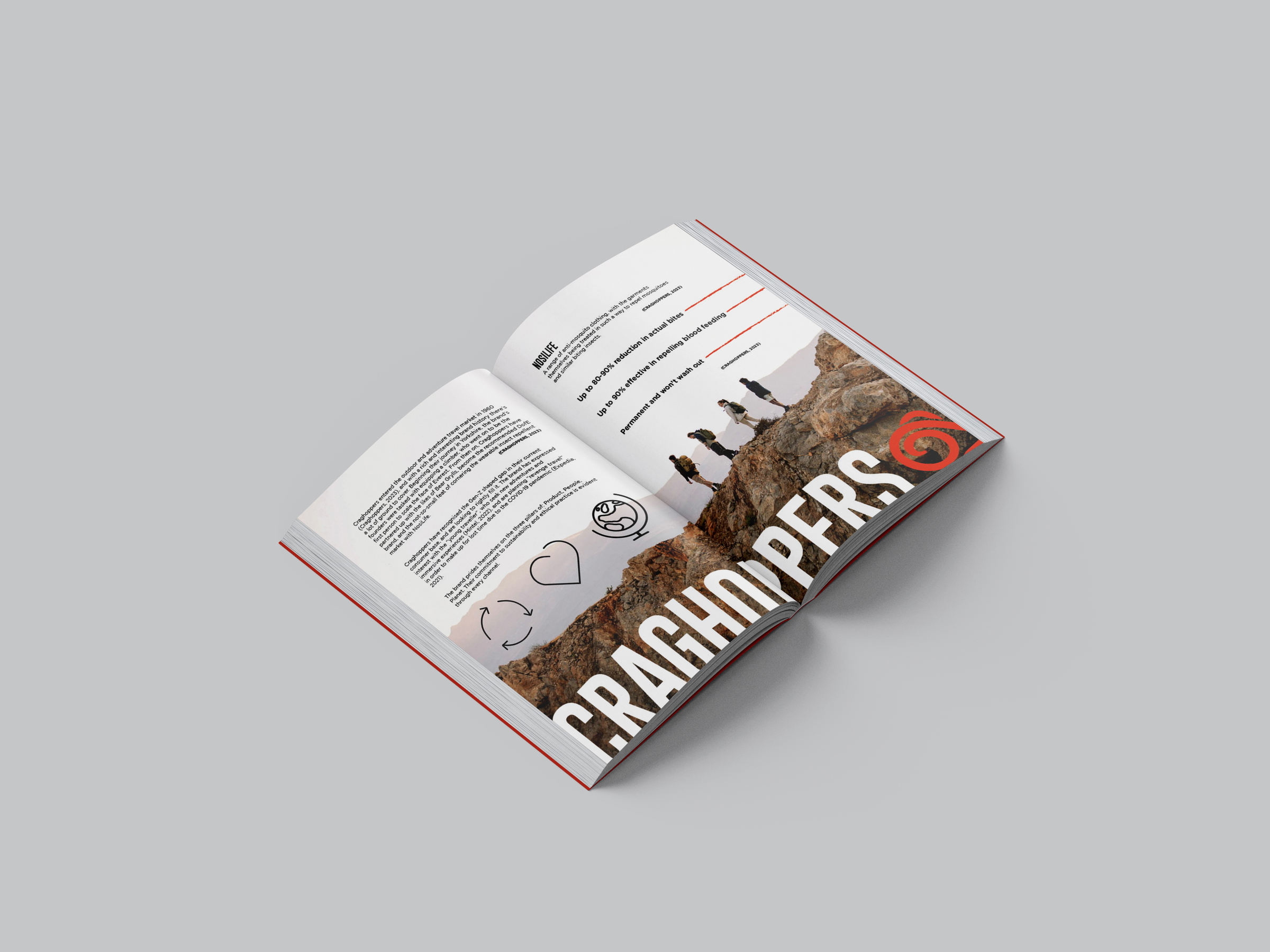 Brand Introduction & Analysis