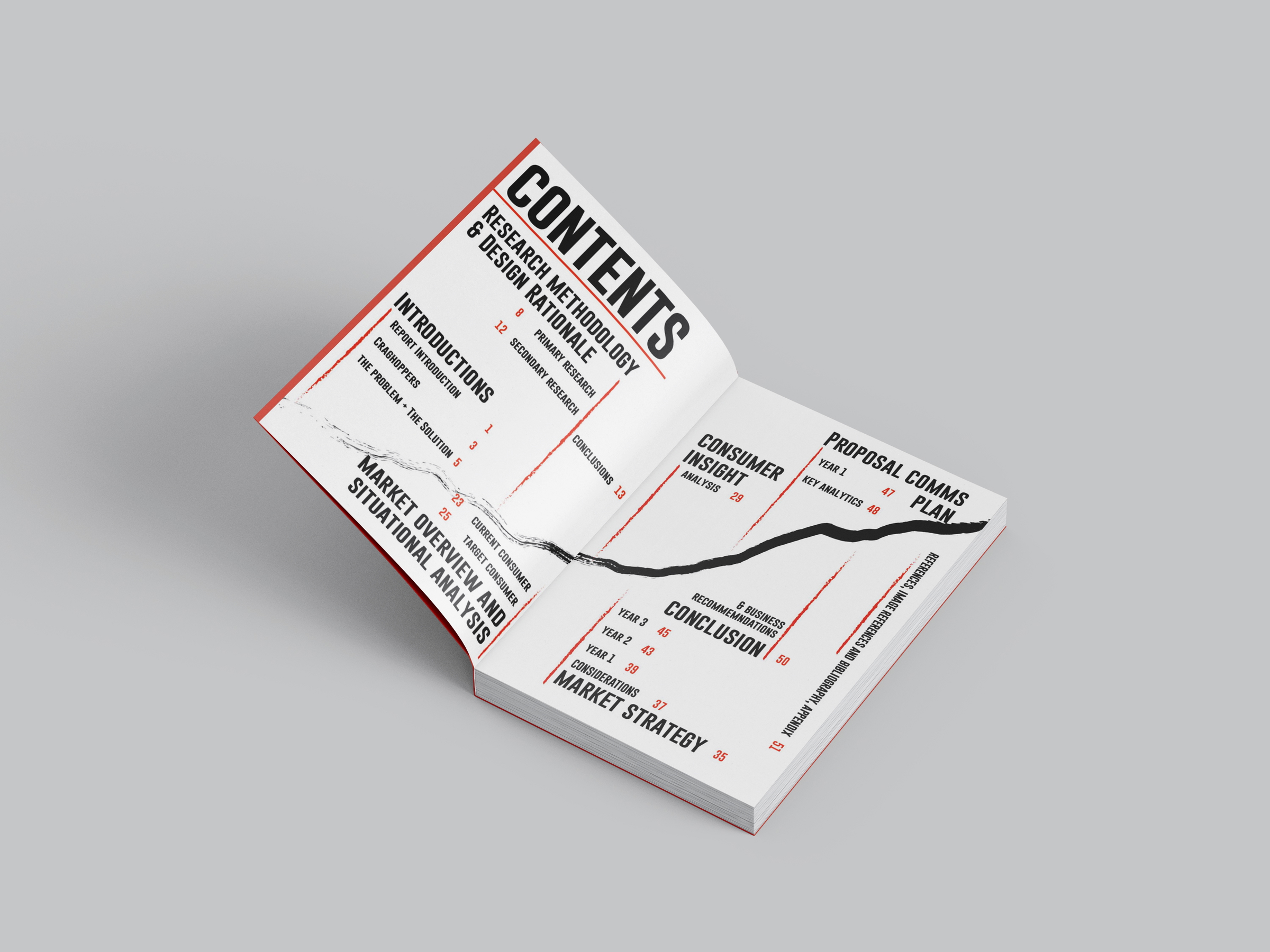 Report Contents