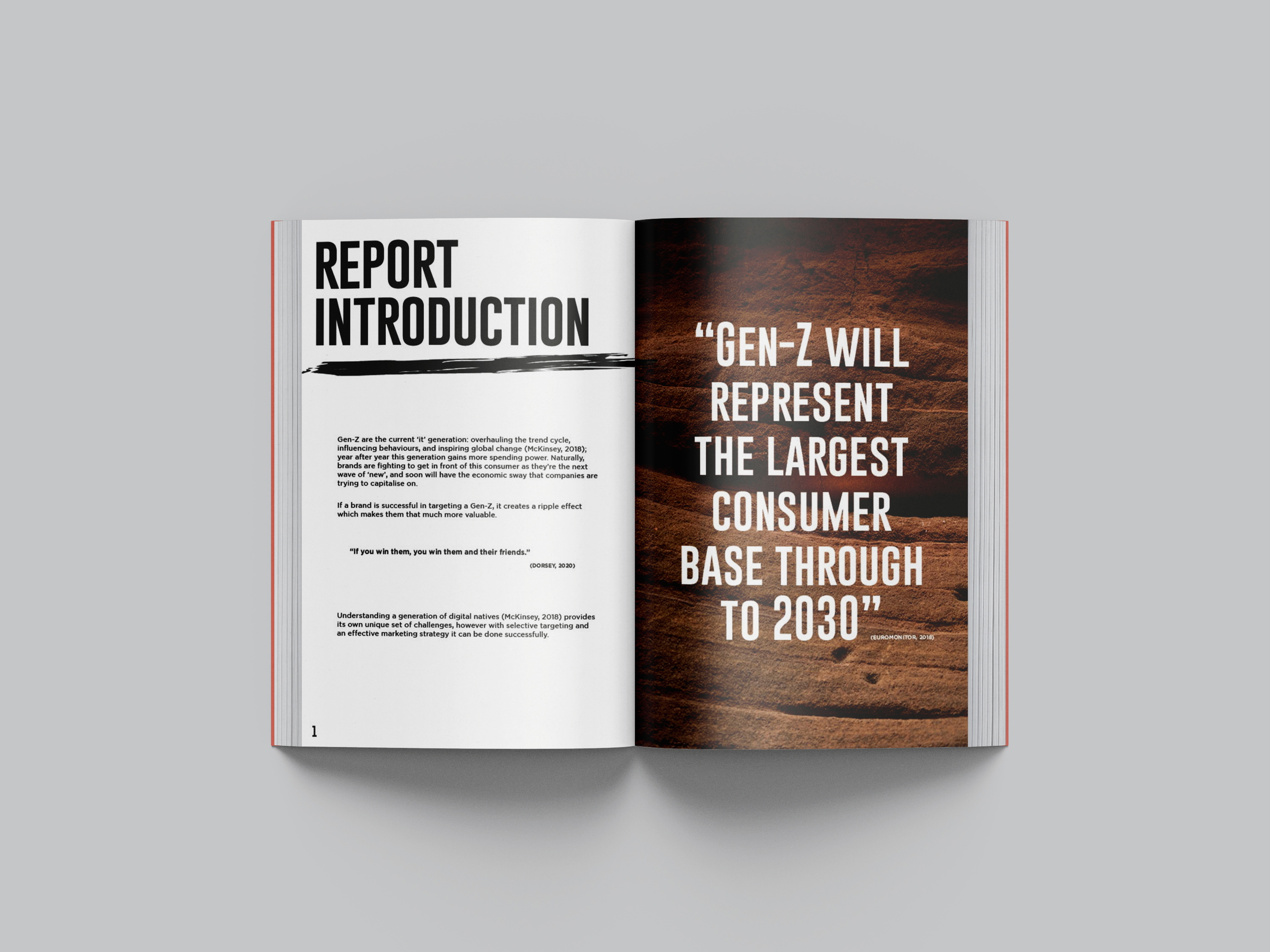 Report Introduction