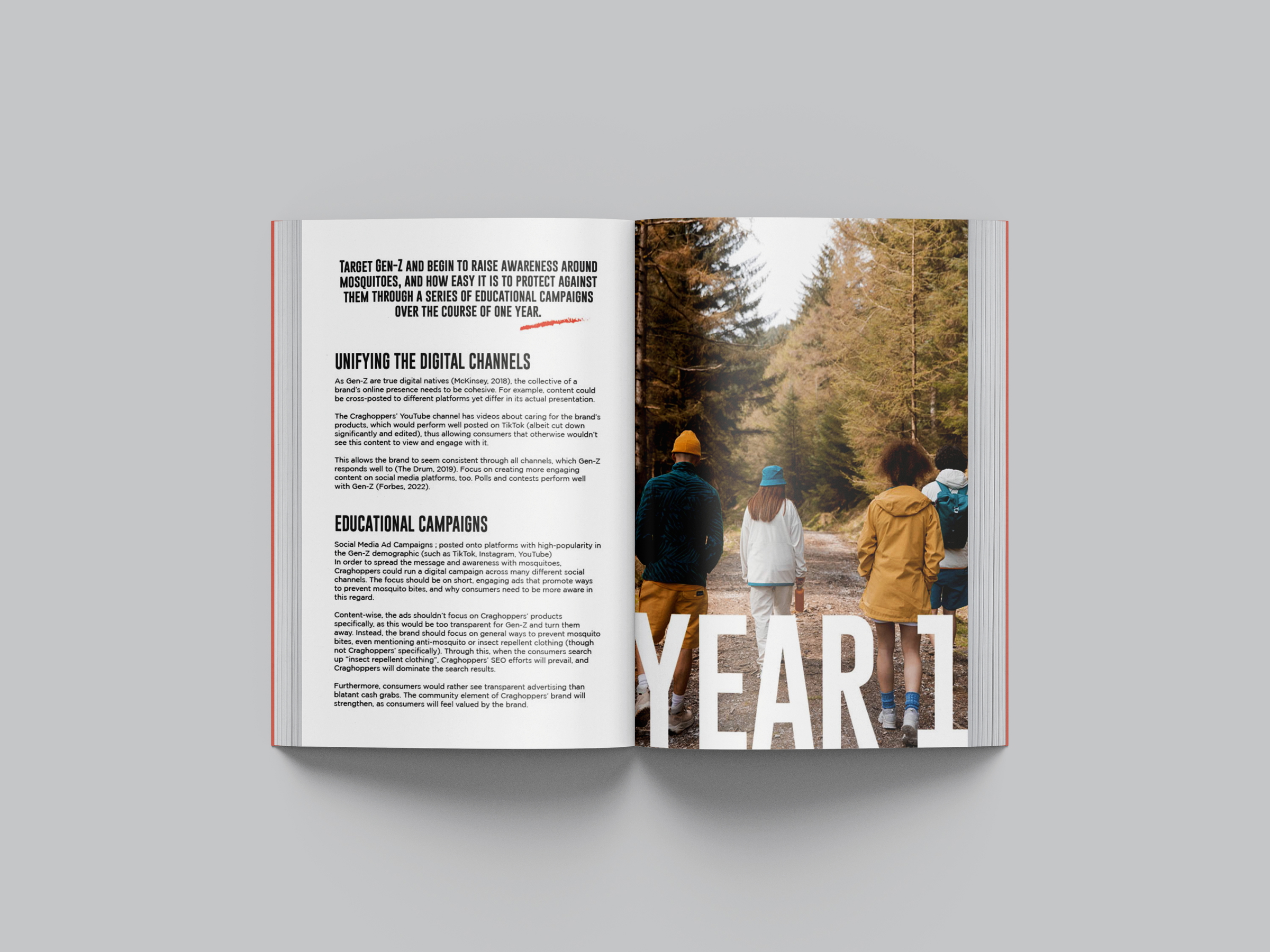 Marketing Strategy: Year 1