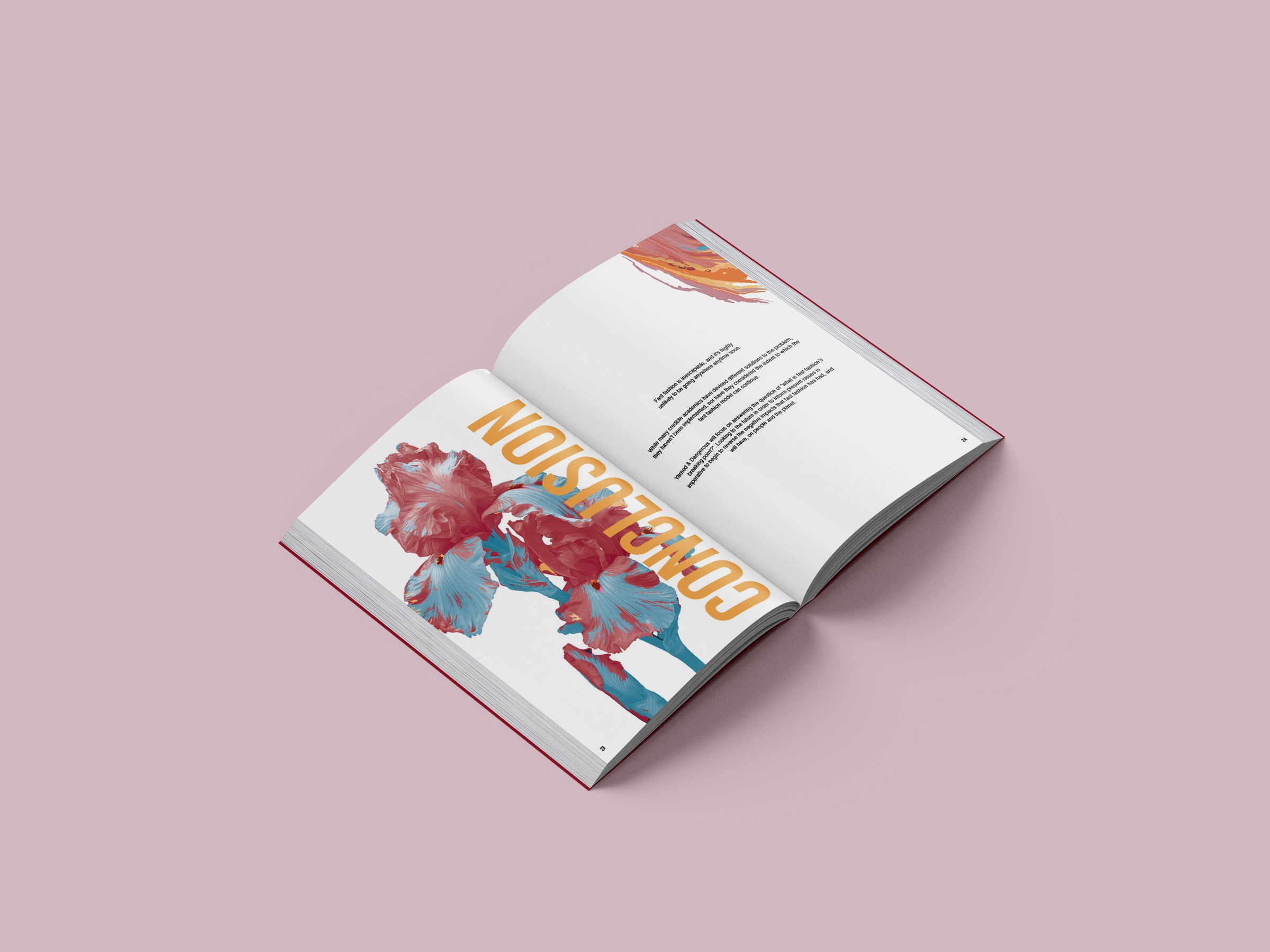 Report Conclusion
