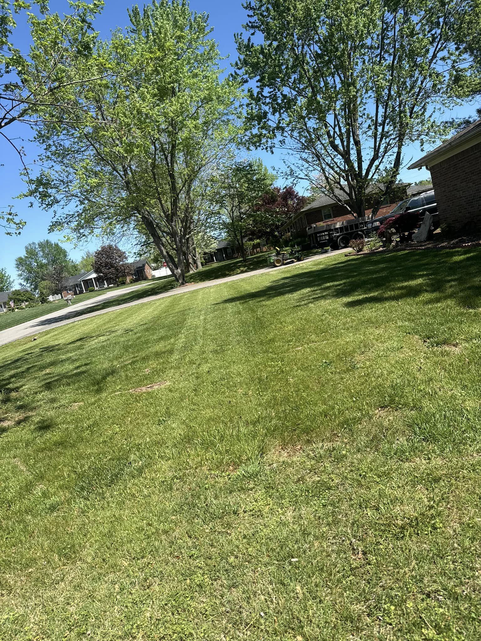 Beautiful lawns are our specialty