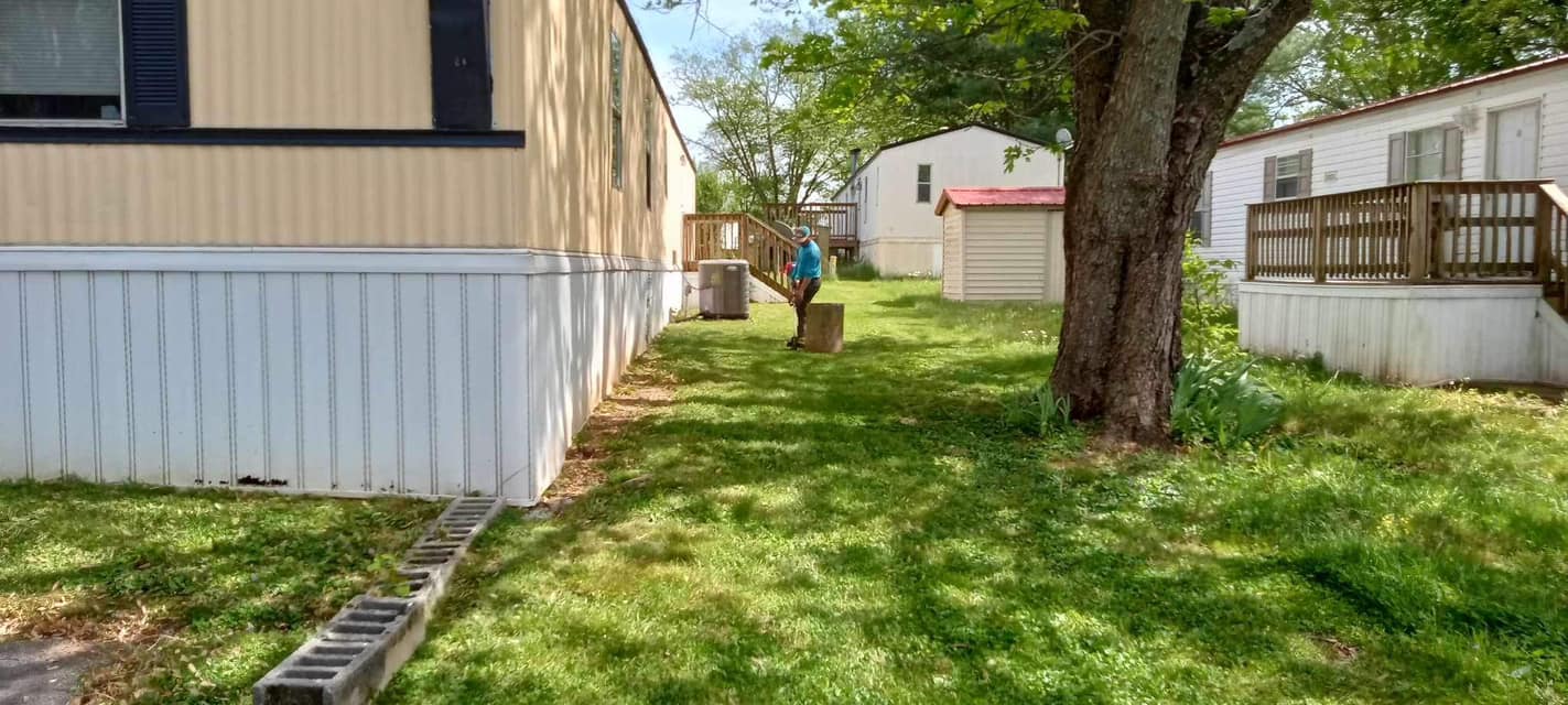 We bring landscapes to life