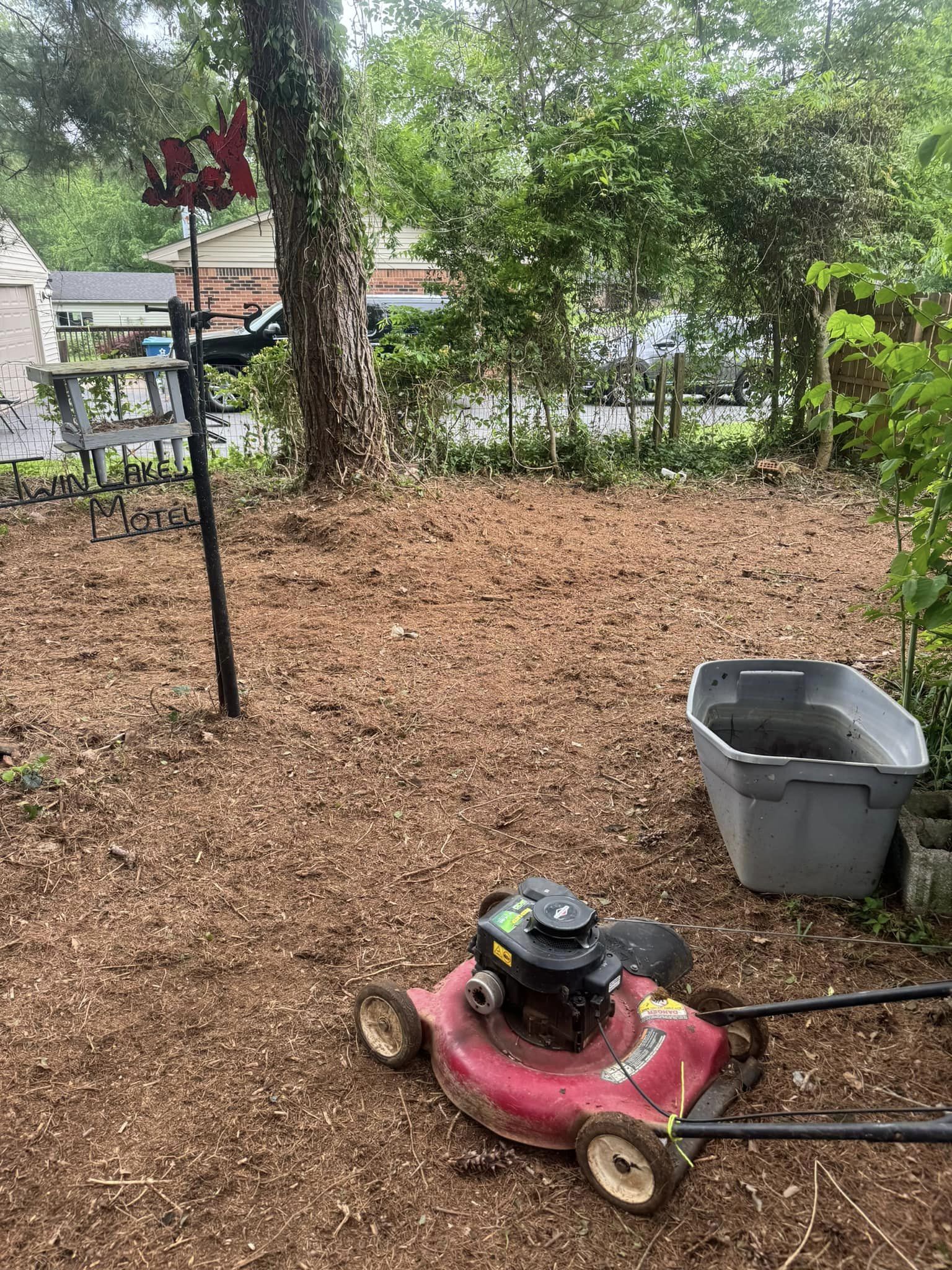 Before and after of a tired yard transformed