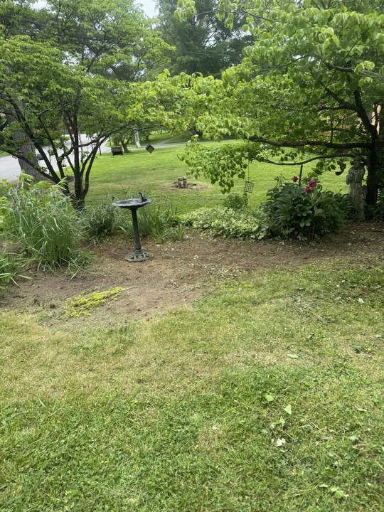 Bright flowers bloom thanks to our care