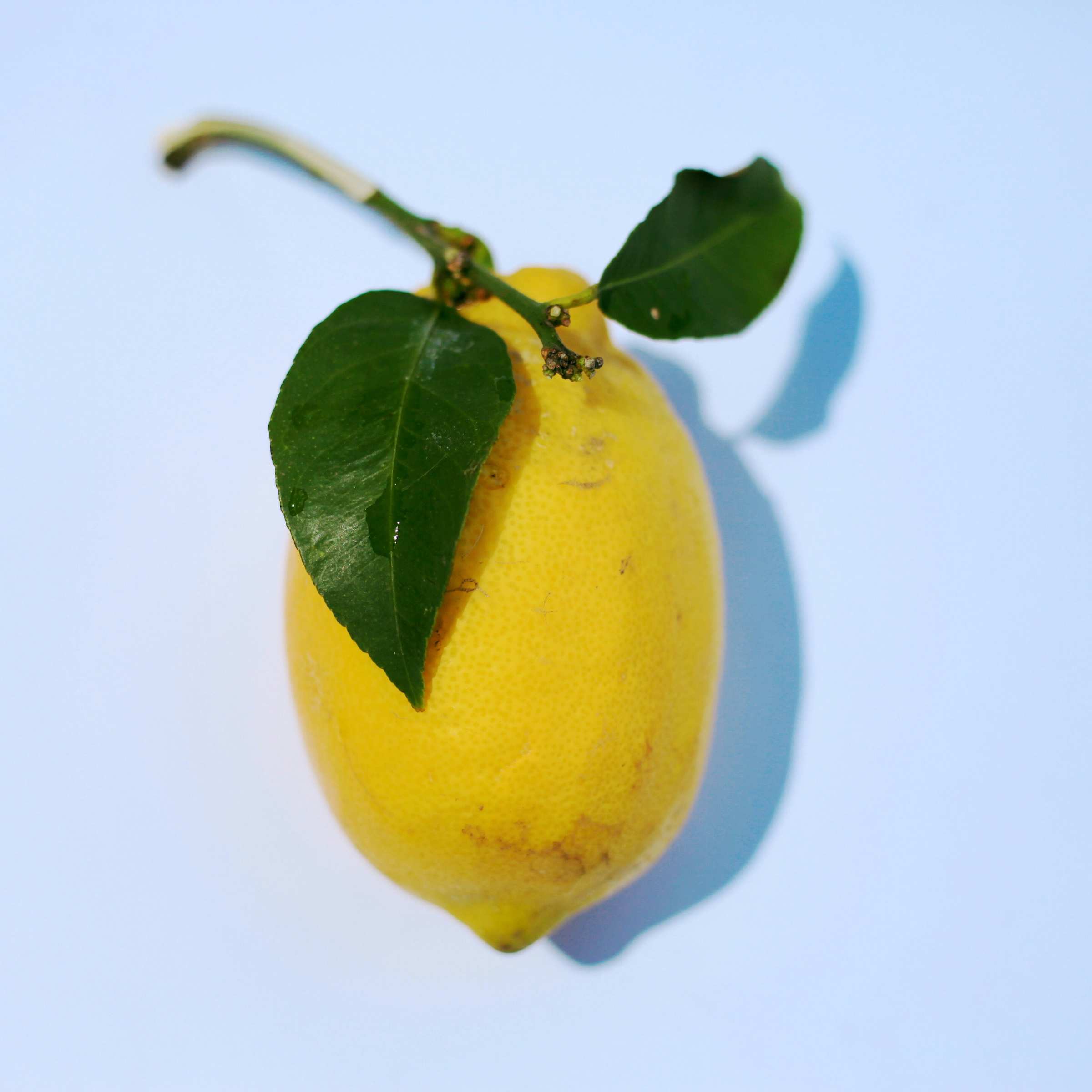 lemon skin