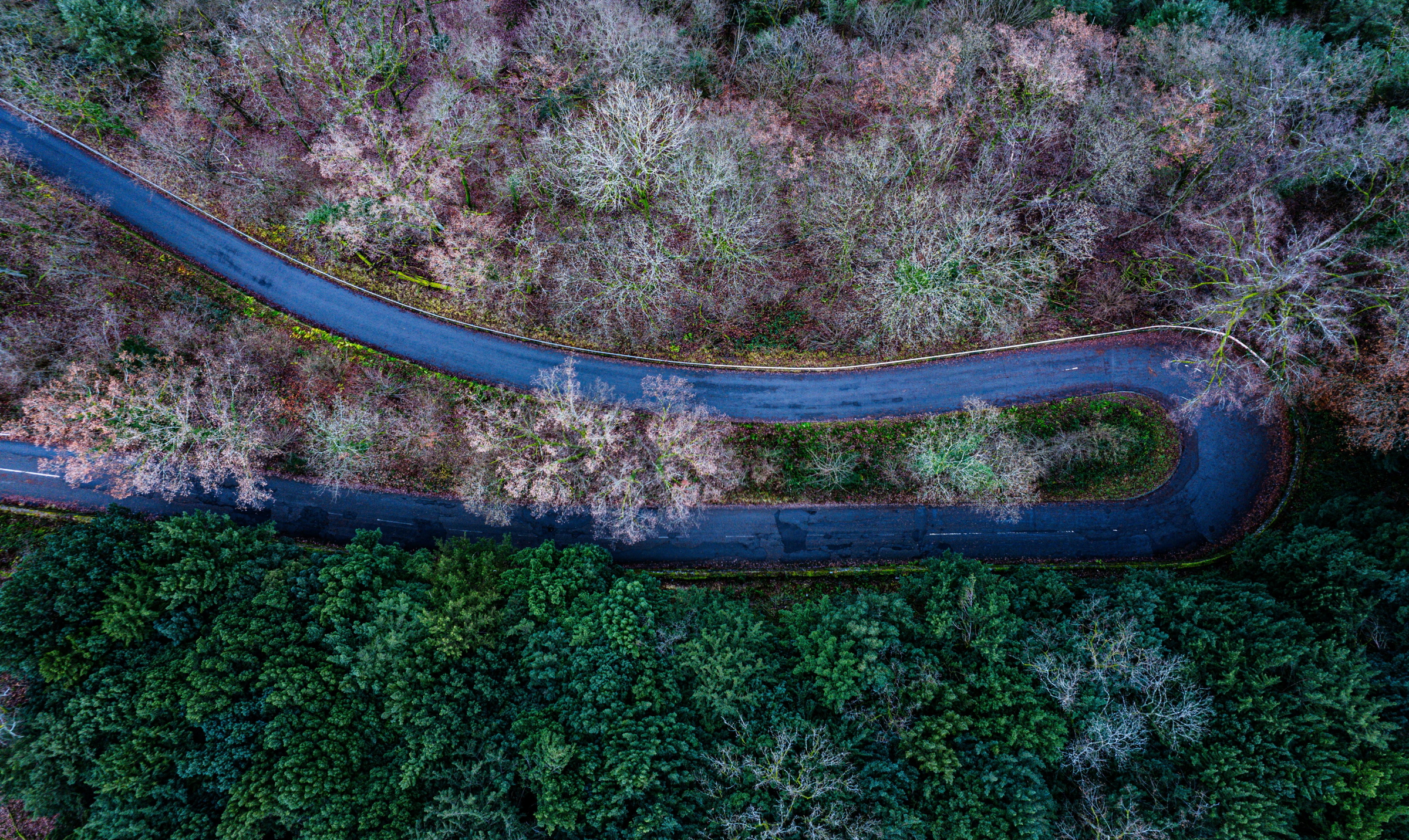 aerial perspective