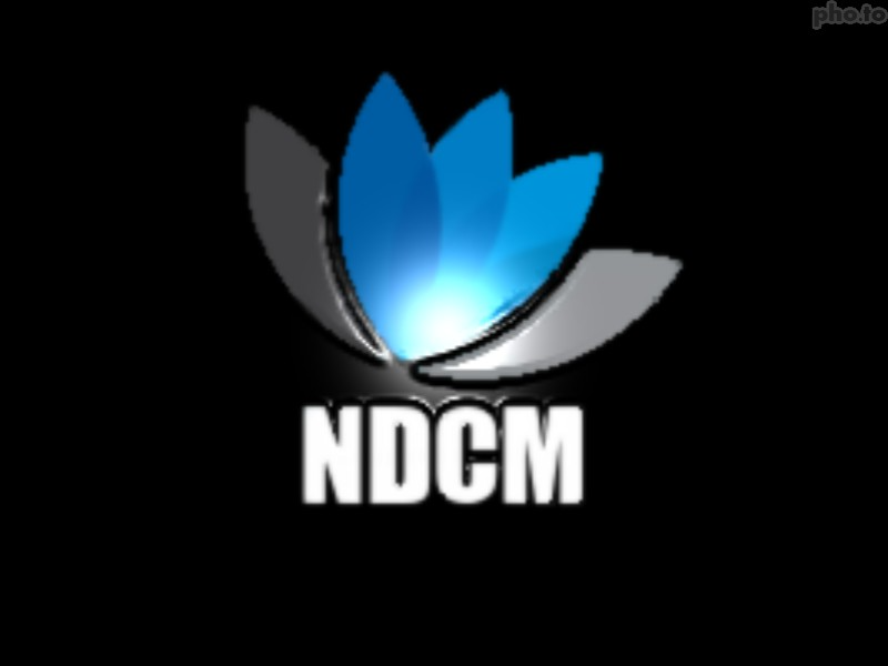 Logo Caption