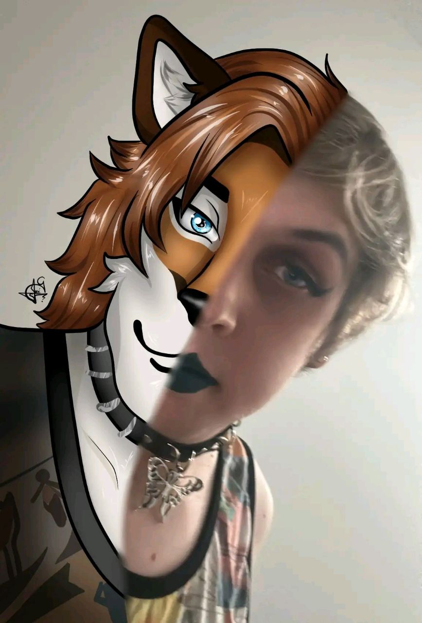 3d virtual environment