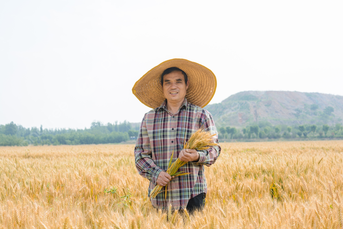 Ông Nguyễn Văn Hậu