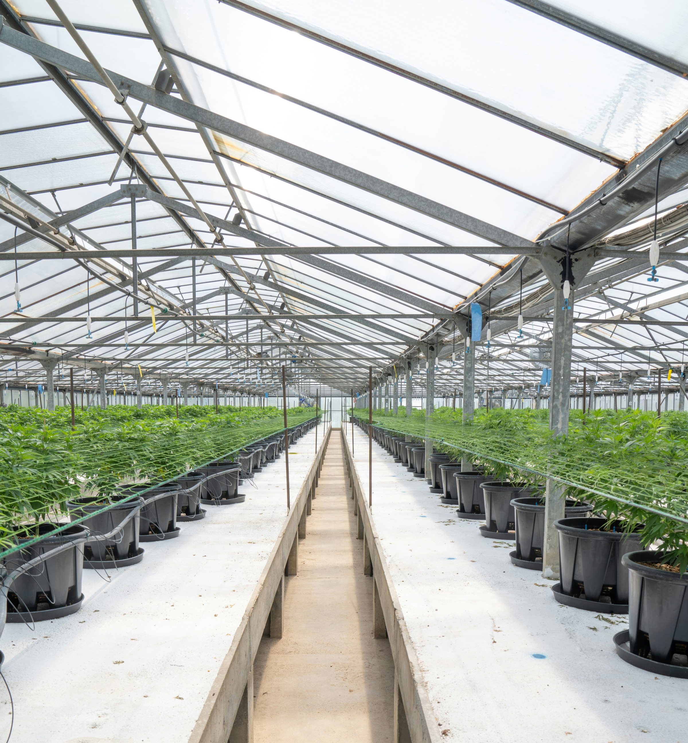 greenhouse management