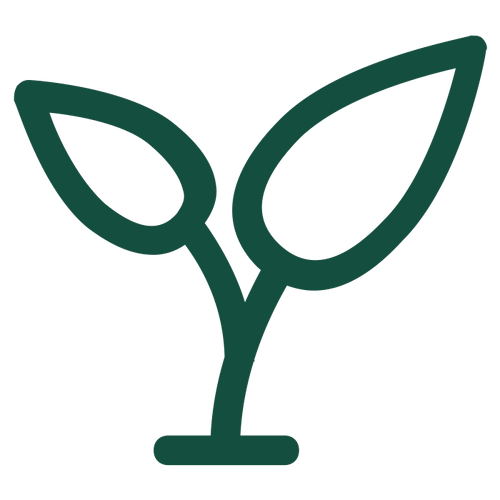 Sprout Icon