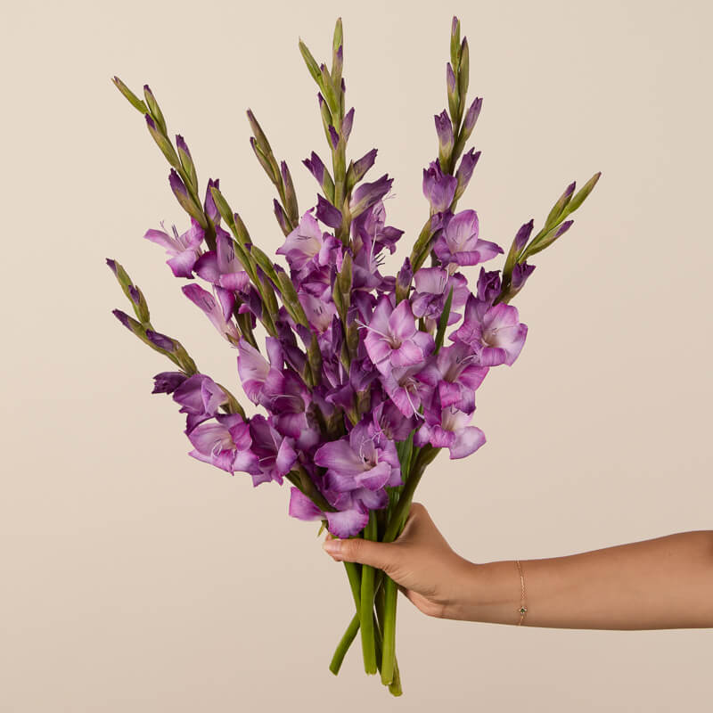 Sweet Lavender