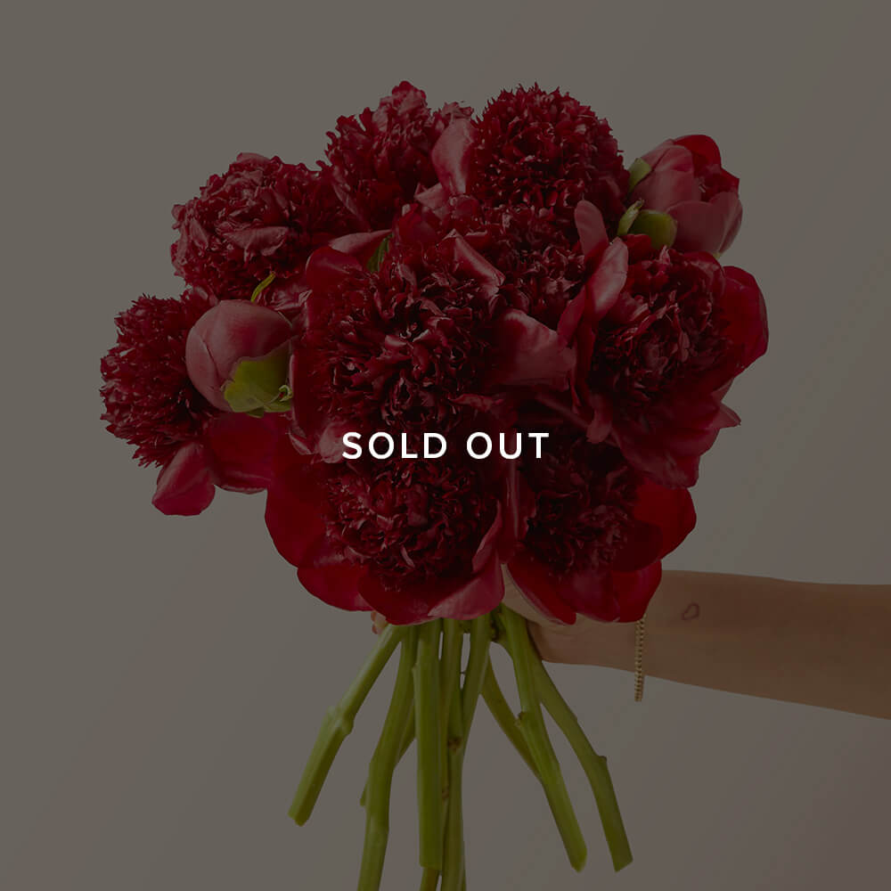 Red Peonies