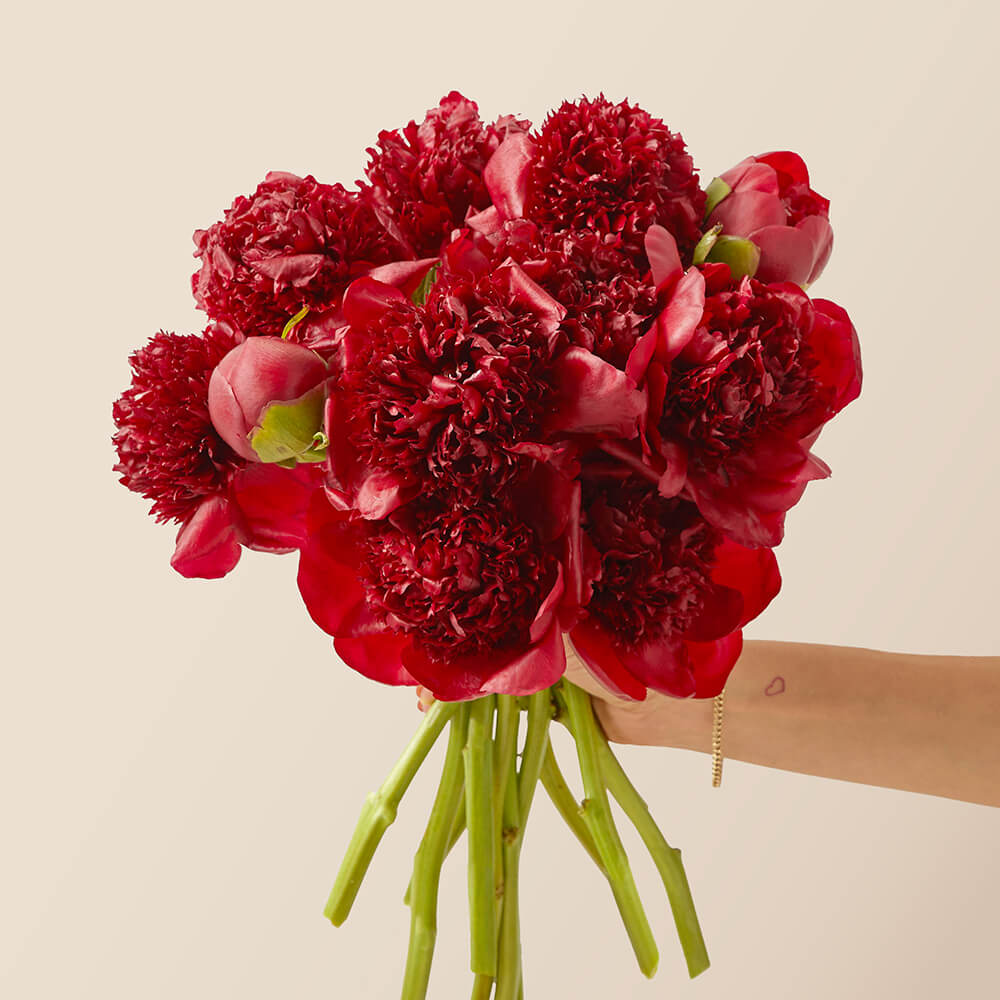 Red Peonies