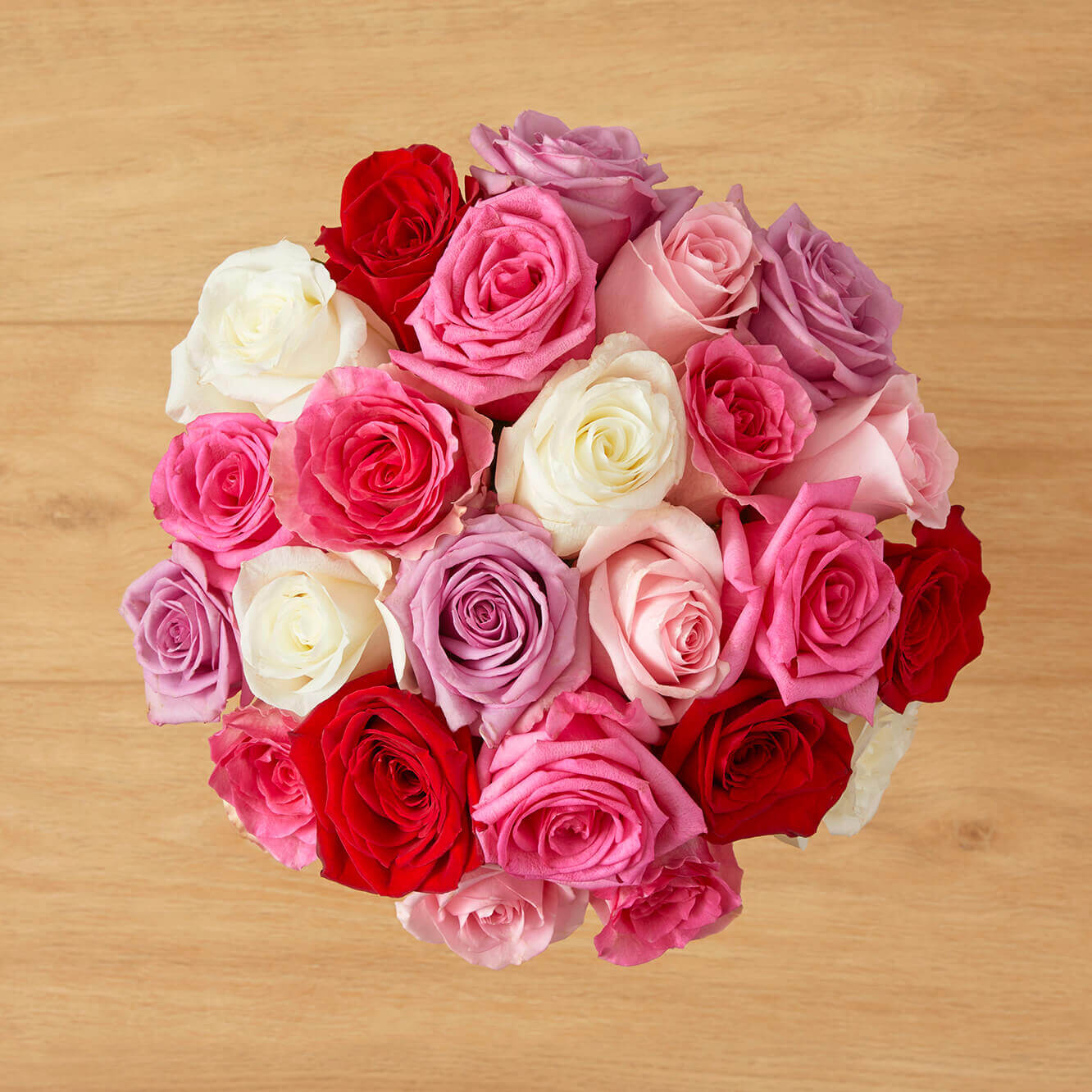 Valentine's Day Roses